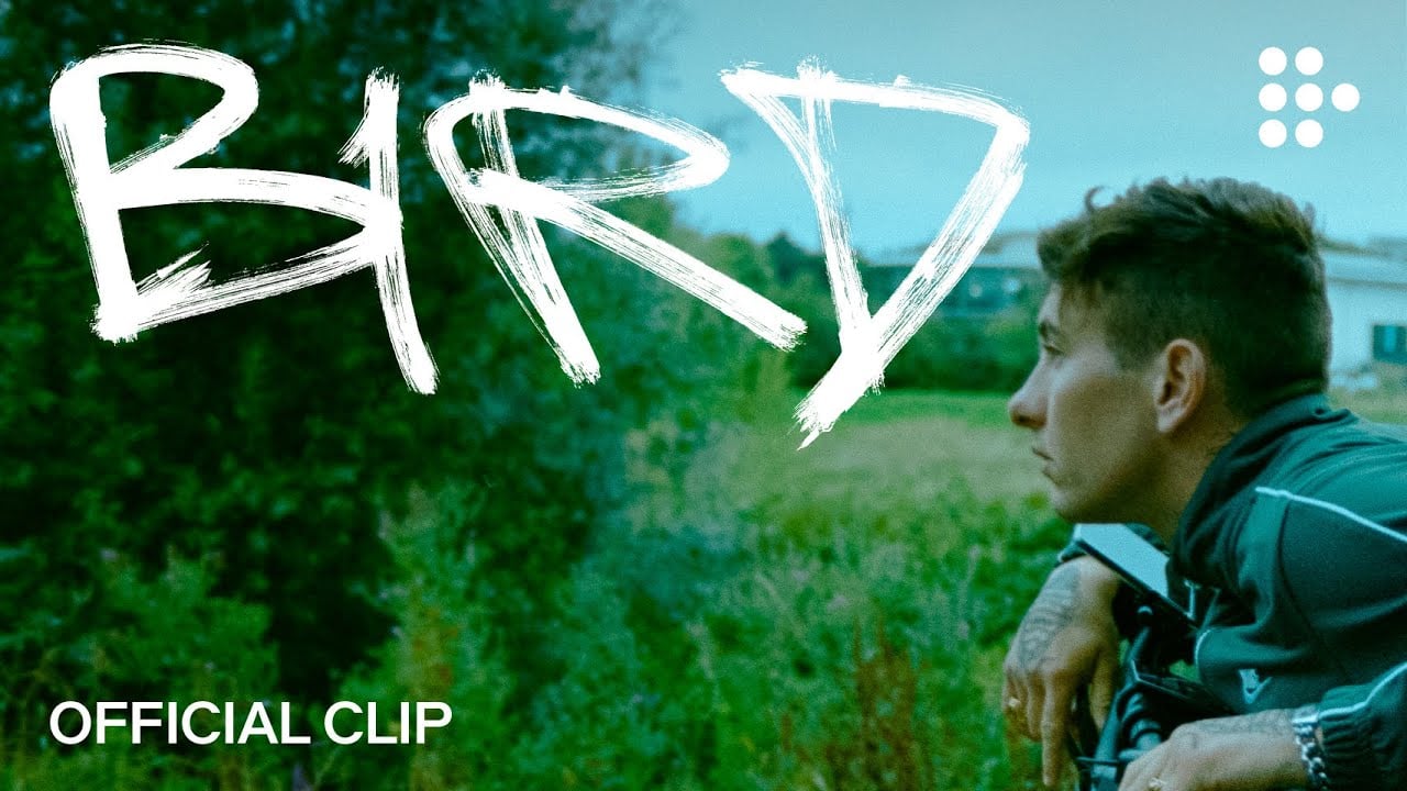 BIRD | Official Clip | Now Streaming Exclusively