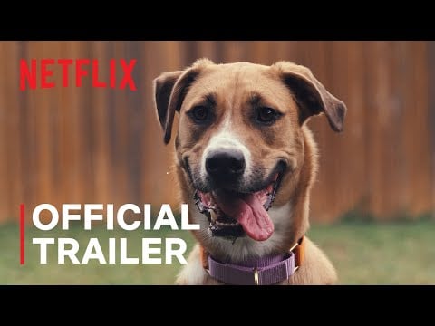 Inside the Mind of a Dog | Official Trailer | Netflix