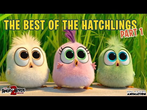 The Angry Birds Movie 2 | Best of the Hatchlings | Part 1