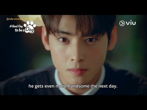 [Trailer 2] Viu Original, A Good Day to be a Dog | ???? ?? ??? ???? ?? ???! ?