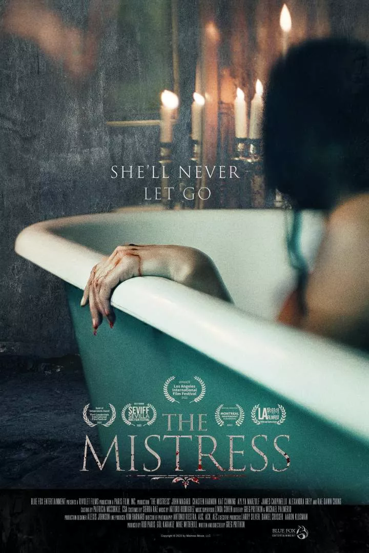 Read More About The Article The Mistress (2023) | Hollywood Movie