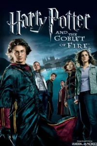 Read More About The Article Harry Potter And The Goblet Of Fire (2005) |  Hollywood Movie