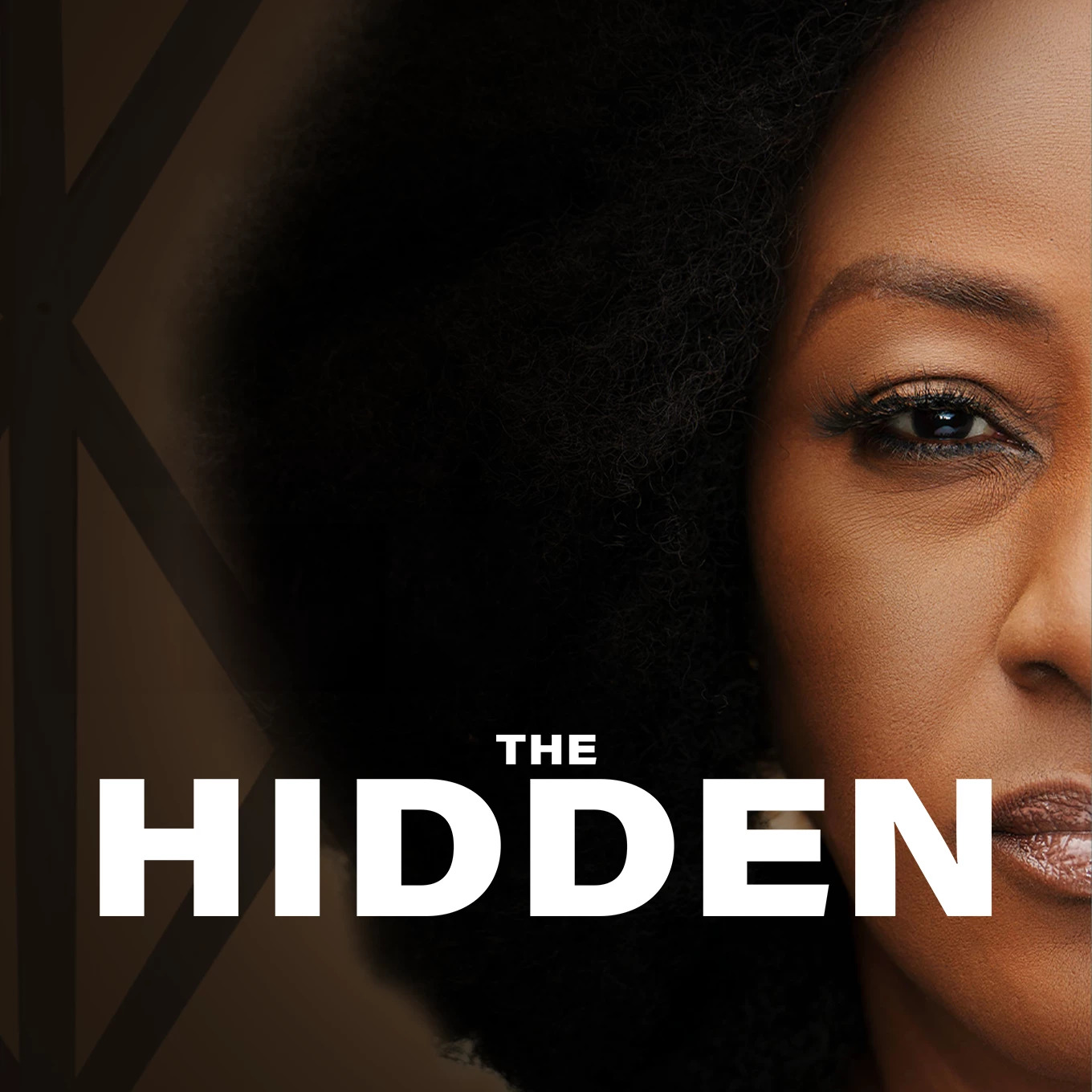 You Are Currently Viewing The Hidden S01 (Episode 1 – 4 Added) | Nollywood Series