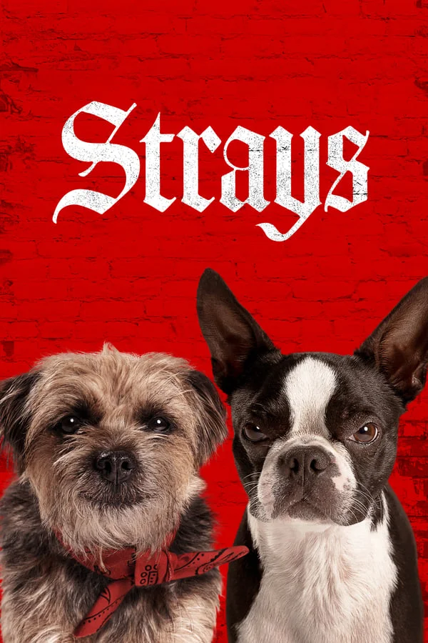 Read More About The Article Strays (2023) | Hollywood Movie