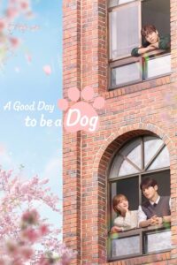 Read More About The Article A Good Day To Be A Dog S01 (Episode 8 Added) | Korean Drama
