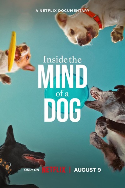 You Are Currently Viewing Inside The Mind Of A Dog (2024) | Documentary Movie