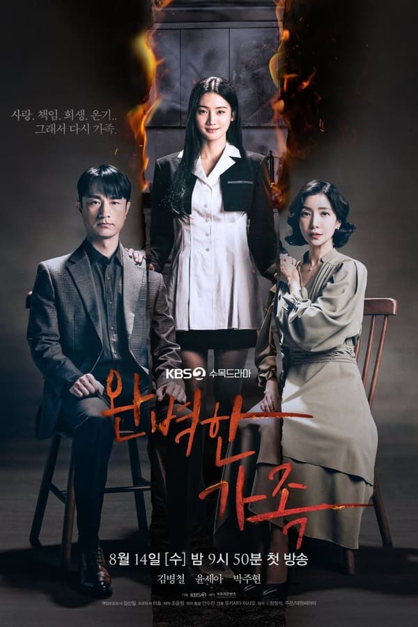 You Are Currently Viewing Perfect Family S01 (Episod 10 Added)| Korean Drama