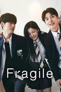 Read More About The Article Fragile S01 (Episode 8 Added) | Korean Drama