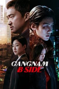 Read More About The Article Gangnam B-Side S01 (Episode 7 &Amp; 8 Sub Fixed) | Korean Drama