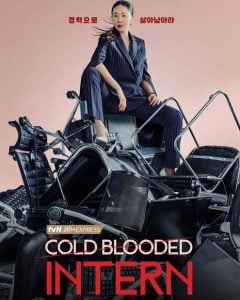 Cold Blooded Intern S01 (Complete) | Korean Drama