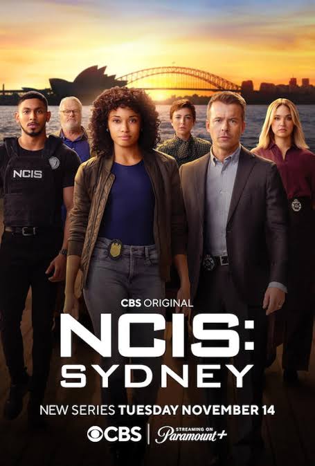 Read More About The Article Ncis Sydney S01 (Complete) | Tv Series