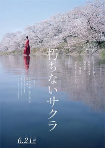 Read More About The Article Sakura (2024) | Japanese Movie