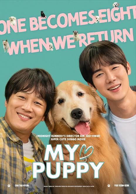 Read More About The Article My Heart Puppy (2023) | Korean Movies